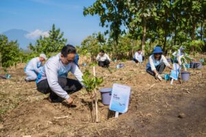 IMG-20240706-WA0064-300x200 Terhadap Lingkungan, Pelita Air Bersama Pertamina Tanam 10 Ribu Pohon di Jawa Timur