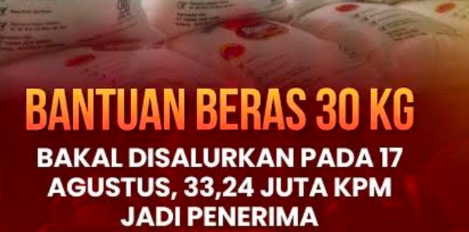 Kado Kemerdekaan Bantuan Beras 30 Kg Disalurkan Mulai 17 Agustus